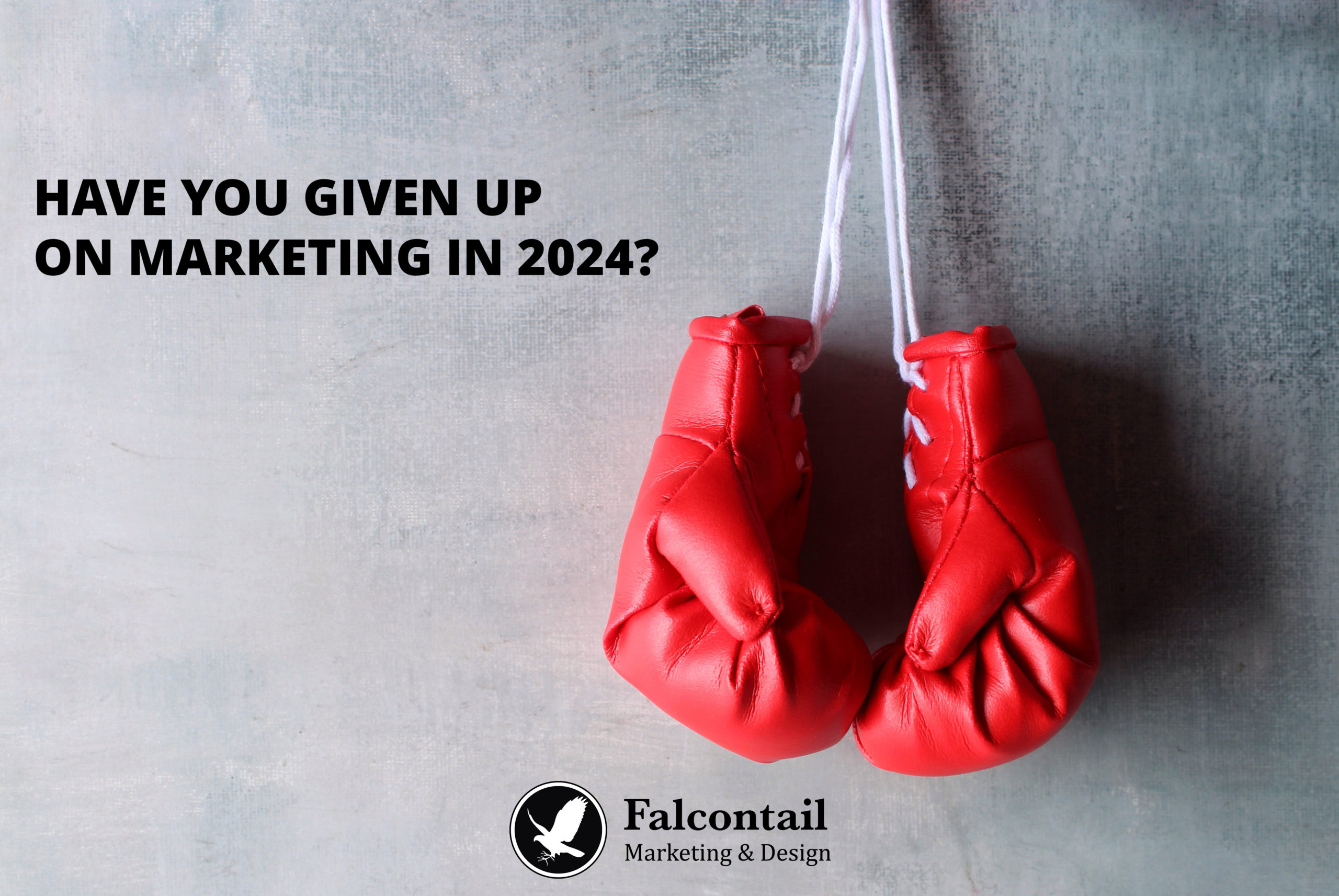 Have You Given Up on Marketing in 2024? Are You Sure? - Falcontail Marketing and Design