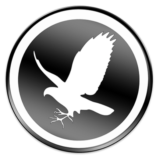 Falcontail Marketing & Design - boutique marketing & design agency in Houston/Galveston, Texas area.